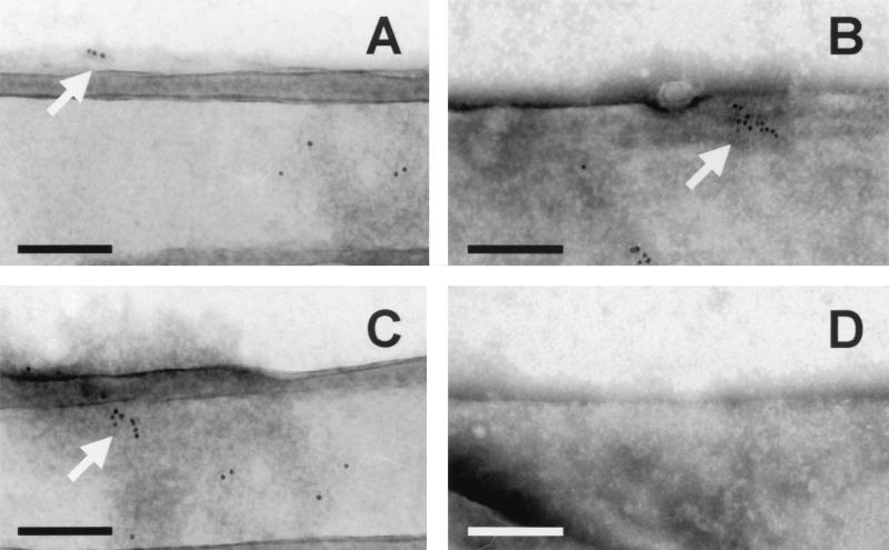 FIG. 5.