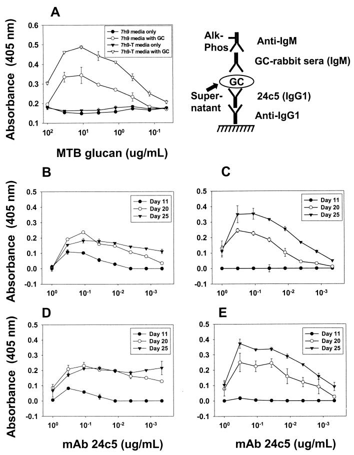 FIG. 7.