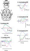 <b>FIG. 4.</b>