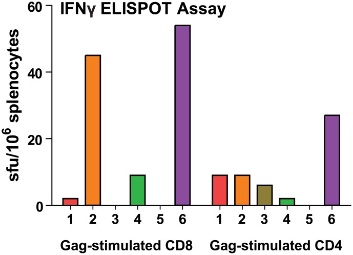 Fig 7