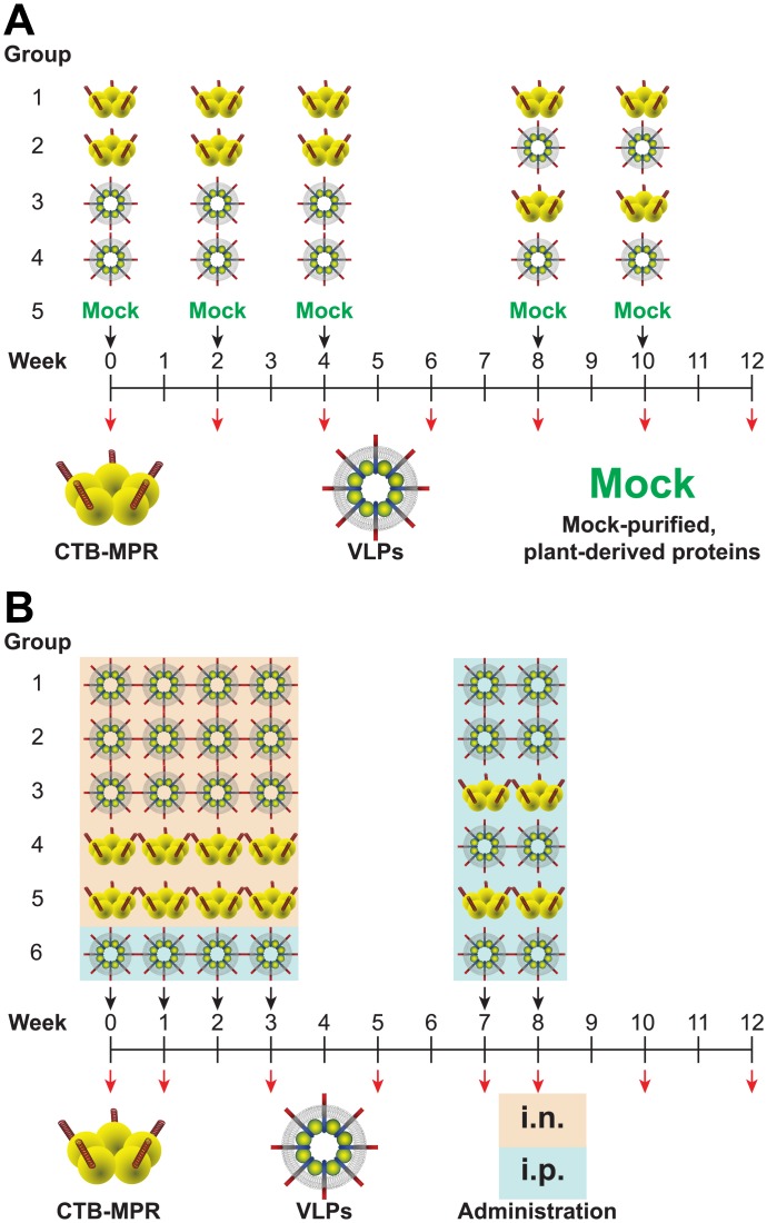 Fig 2