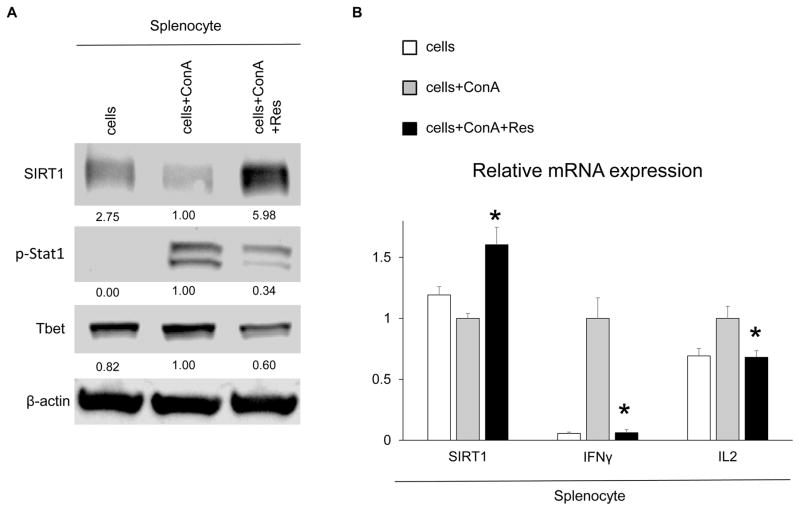 FIG. 6