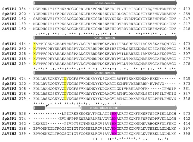 Figure 1—figure supplement 2.