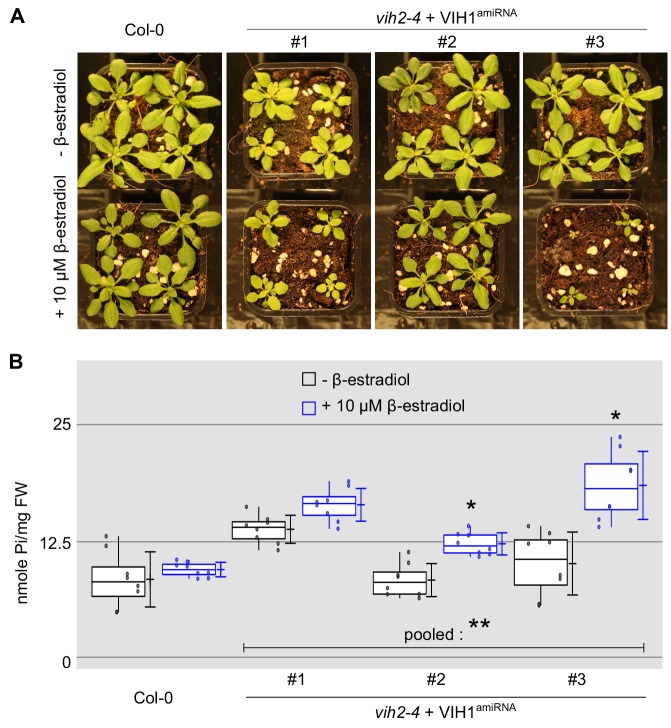 Figure 1—figure supplement 5.