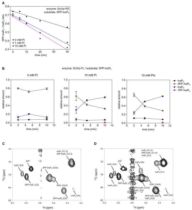 Figure 6—figure supplement 2.