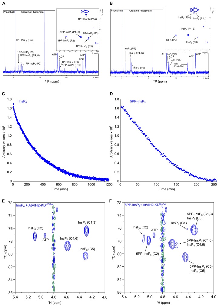 Figure 5—figure supplement 2.