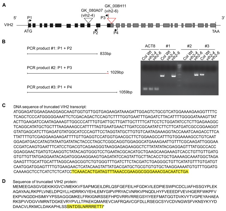 Figure 2—figure supplement 1.