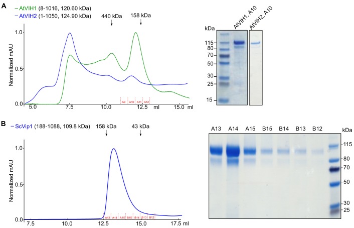 Figure 6—figure supplement 1.