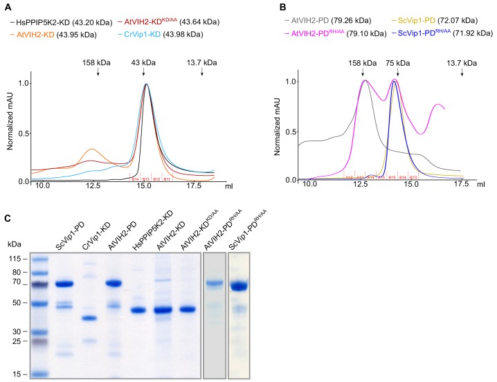 Figure 5—figure supplement 1.