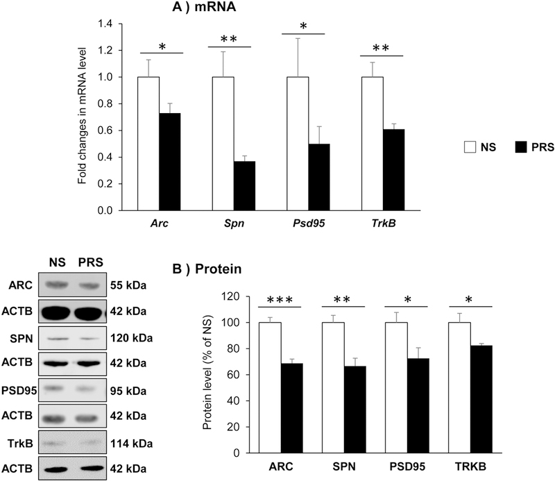 Figure 4: