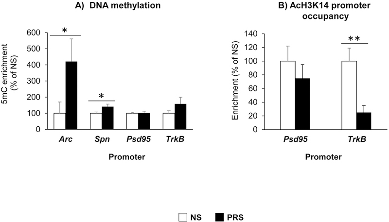 Figure 5: