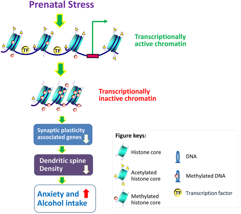 Figure 7: