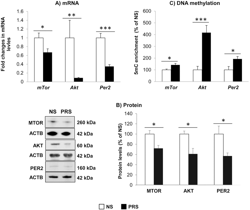 Figure 6: