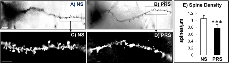 Figure 3: