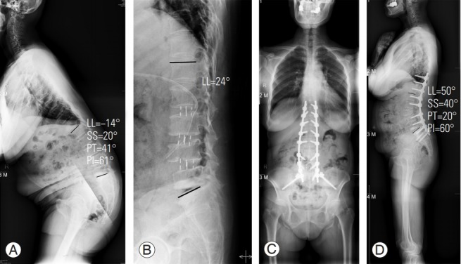 Fig. 8.