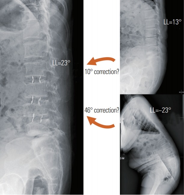 Fig. 7.