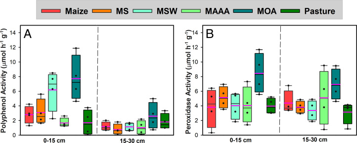 Fig. 3.