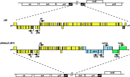 FIG. 5.