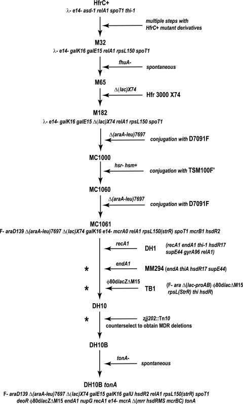 FIG. 1.