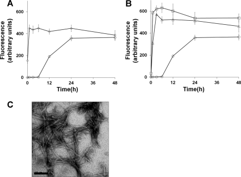 FIGURE 7.