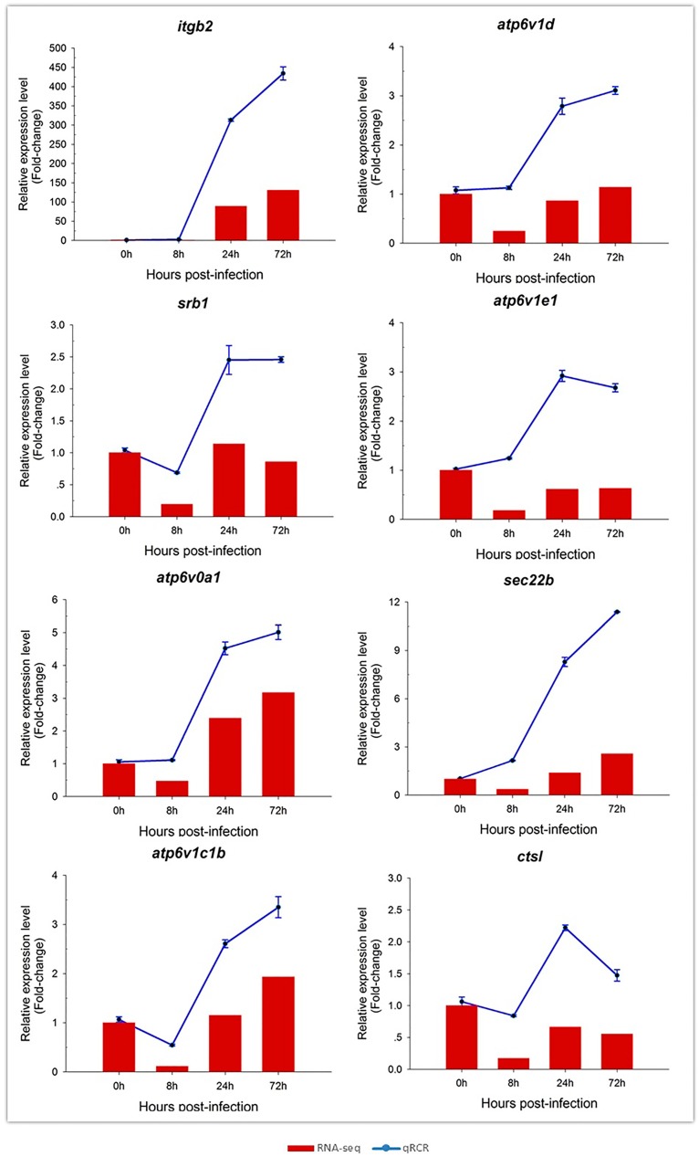 Figure 6