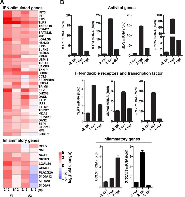 FIG 6