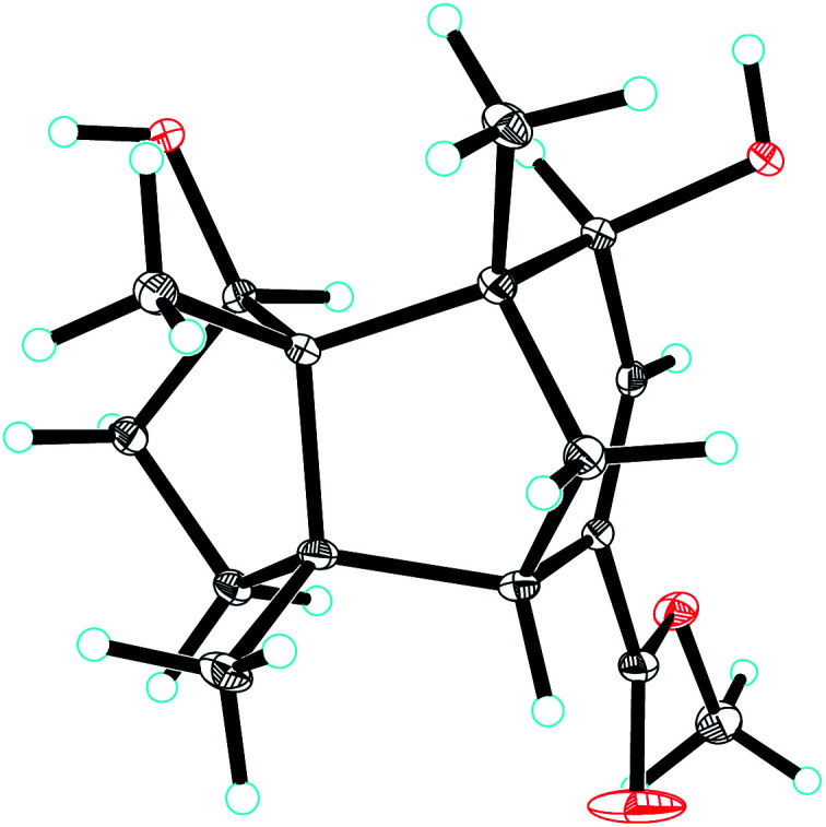 Fig. 5