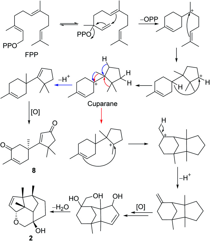 Scheme 1