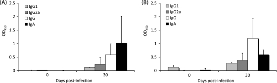 FIG. 5.