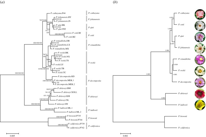 Figure 1.