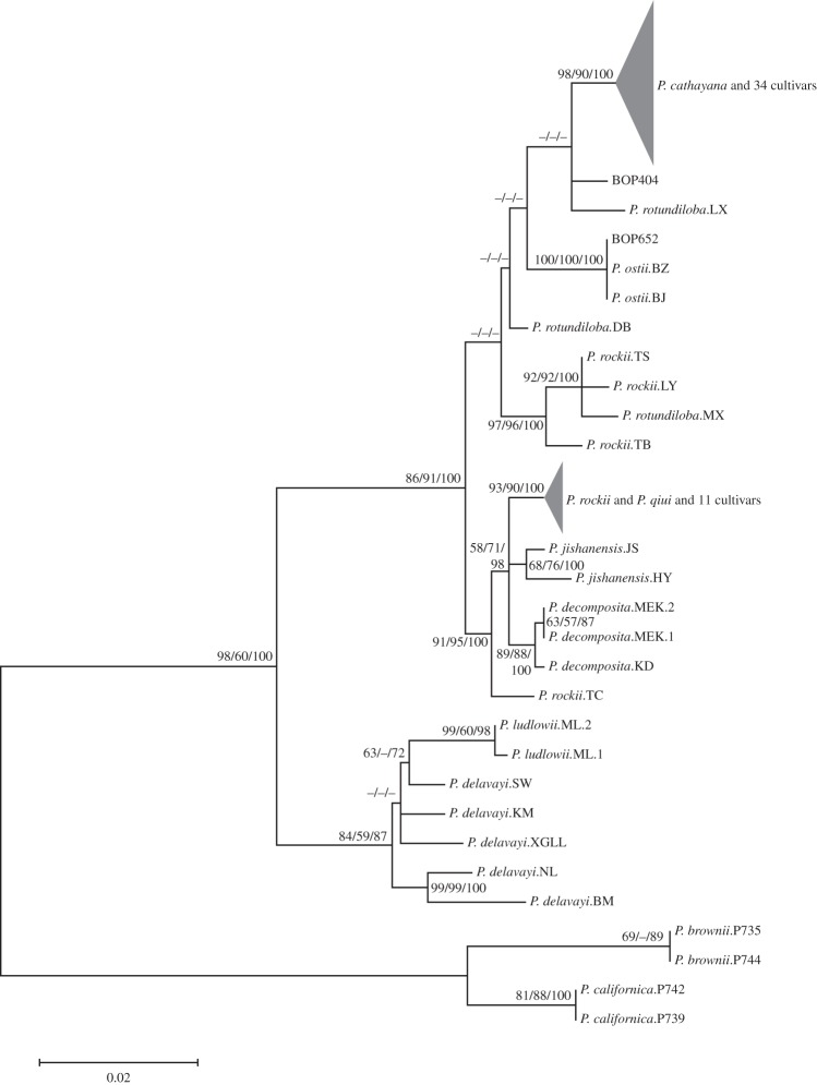 Figure 2.