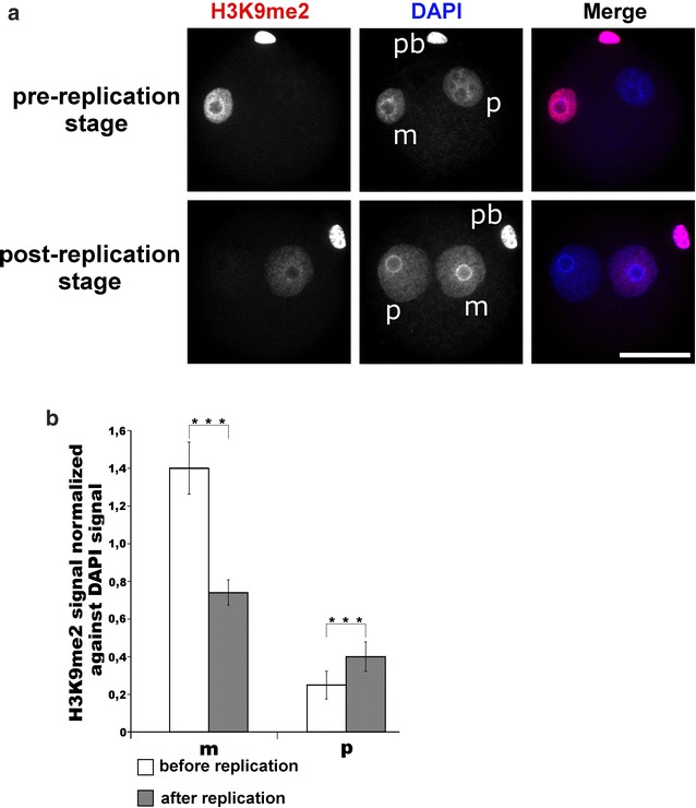 Fig. 12