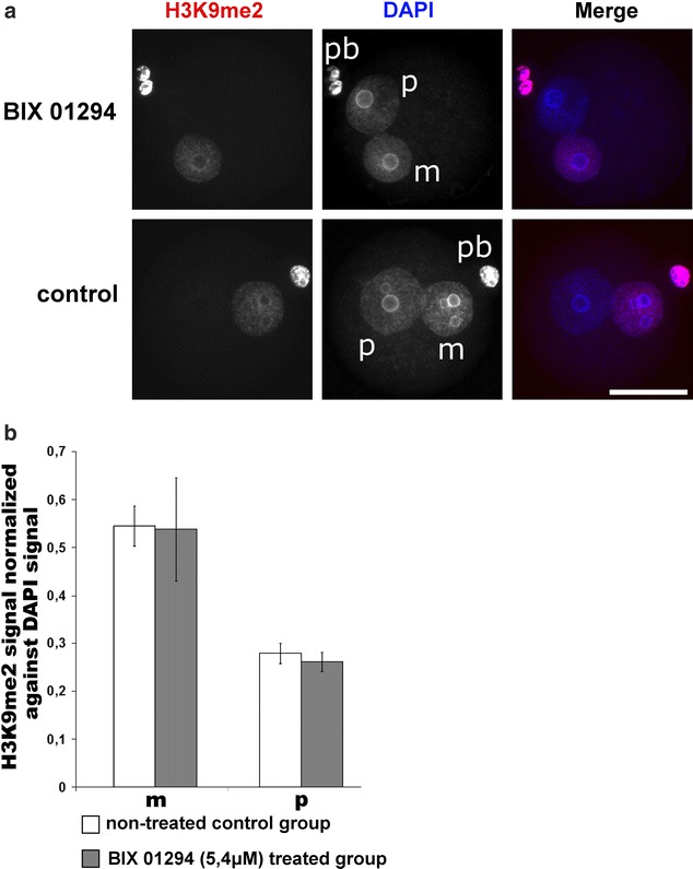 Fig. 11