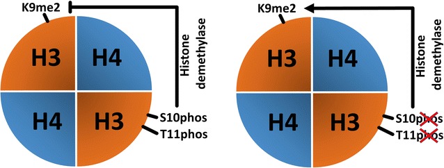 Fig. 13