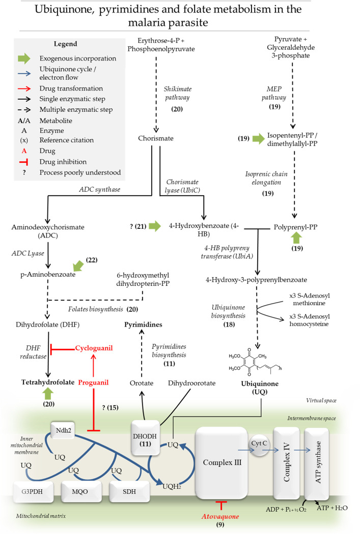 FIG 1