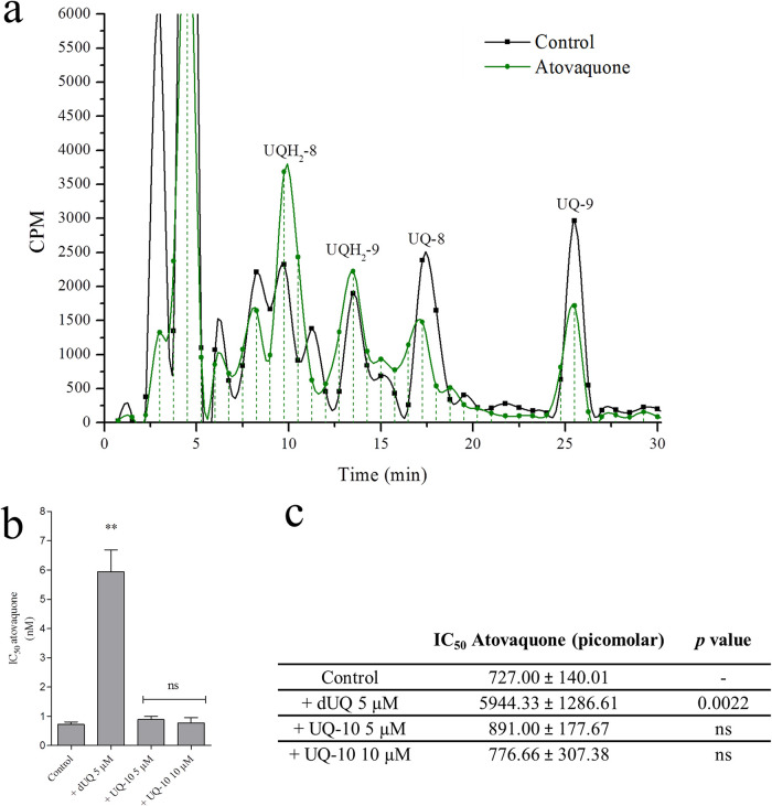 FIG 6