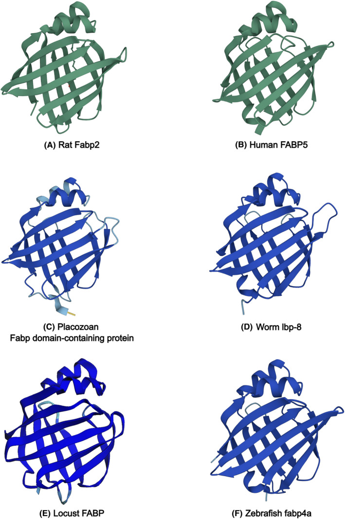 FIGURE 1