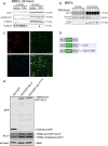 Extended Data Fig. 3