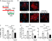 Extended Data Fig. 1