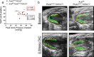 Extended Data Fig. 2