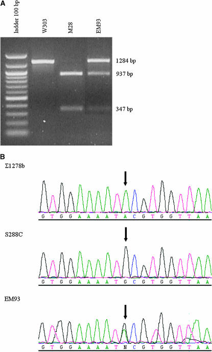 Figure 2.—