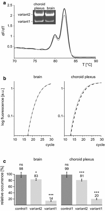 Fig. 7