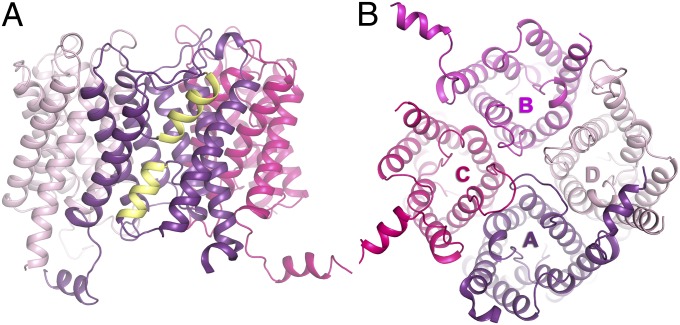 Fig. 1.