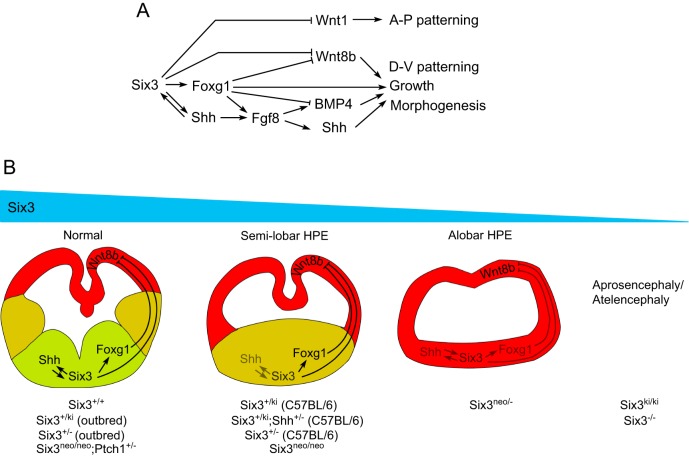 Fig. 9.