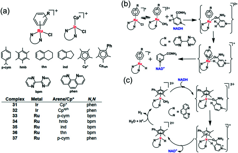 Fig. 11