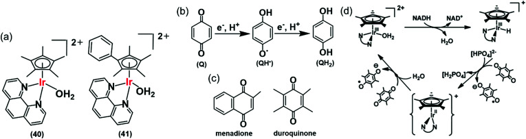 Fig. 13