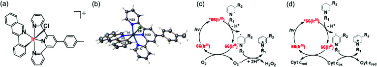 Fig. 17