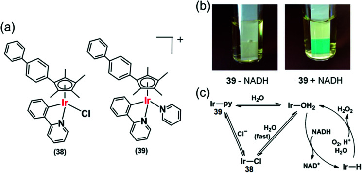 Fig. 12