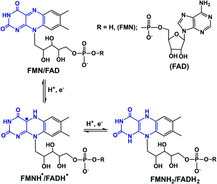 Fig. 2