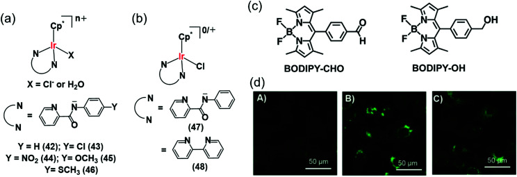 Fig. 14